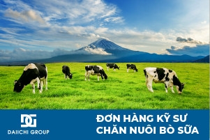 ĐƠN HÀNG KỸ SƯ CHĂN NUÔI BÒ SỮA