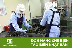 ĐƠN HÀNG ĐẶC ĐỊNH CHẾ BIẾN THỰC PHẨM TẢO BIỂN