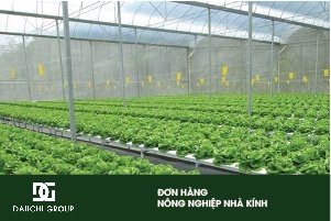 ĐƠN HÀNG NÔNG NGHIỆP NHÀ KÍNH