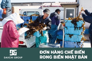 ĐƠN HÀNG CHẾ BIẾN THỰC PHẨM
