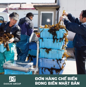 ĐƠN HÀNG CHẾ BIẾN THỰC PHẨM