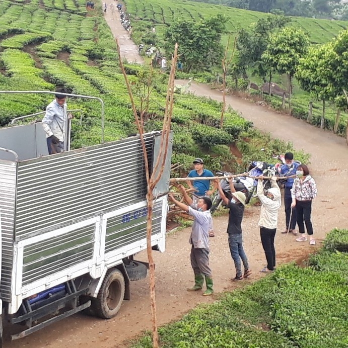 ĐƠN HÀNG DỌN DẸP VỆ SINH CÔNG TRÌNH XÂY DỰNG