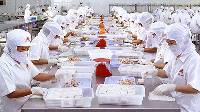 ĐƠN HÀNG CHẾ BIẾN THỰC PHẨM LÀM CHẢ CÁ
